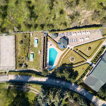 Suncani Breg Apartments Vrdnik Dış mekan fotoğraf
